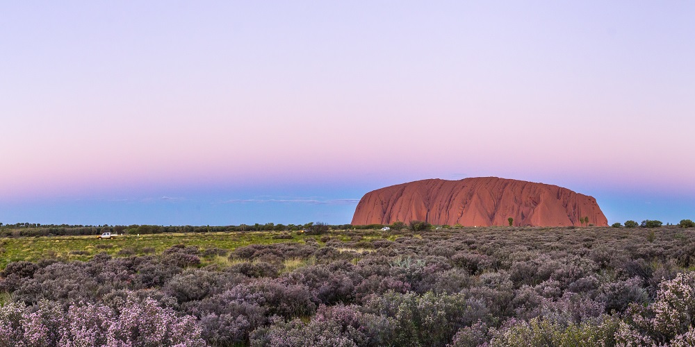 Key Insights for New Zealanders Seeking Australian Residency